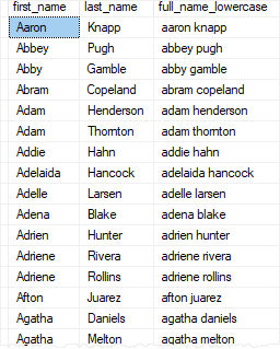 SQL Server LOWER Function Example