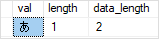 SQL Server NCHAR data type example